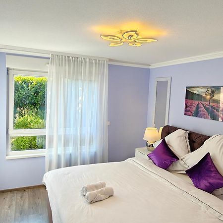 Charming Apartment With Garden, Free Parking Near Basel, Airport, Ger'Many, France, Saint-Louis  Luaran gambar